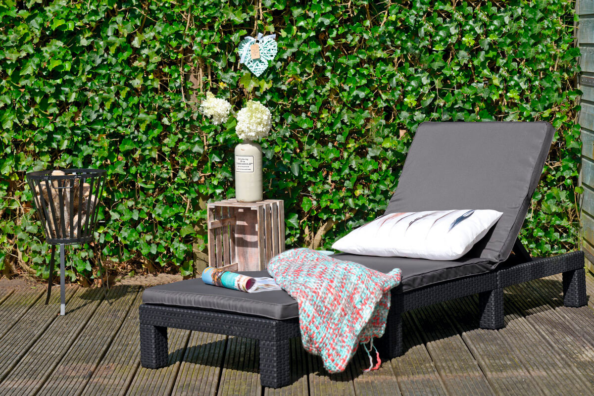 Шезлонг Daytona, графит